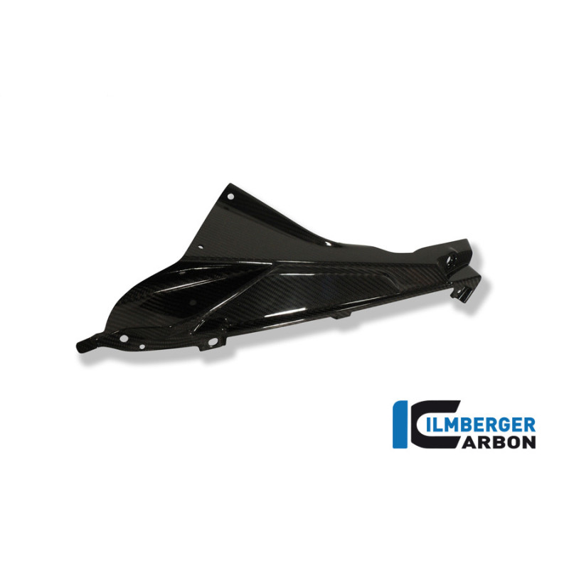 Partie supérieure de flanc de carénage gauche carbone pour BMW S 1000 RR | Ilmberger Carbon