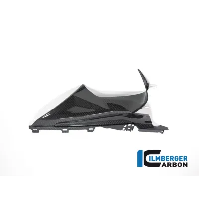 Partie supérieure de flanc de carénage droite carbone pour BMW S & M 1000 RR | Ilmberger Carbon