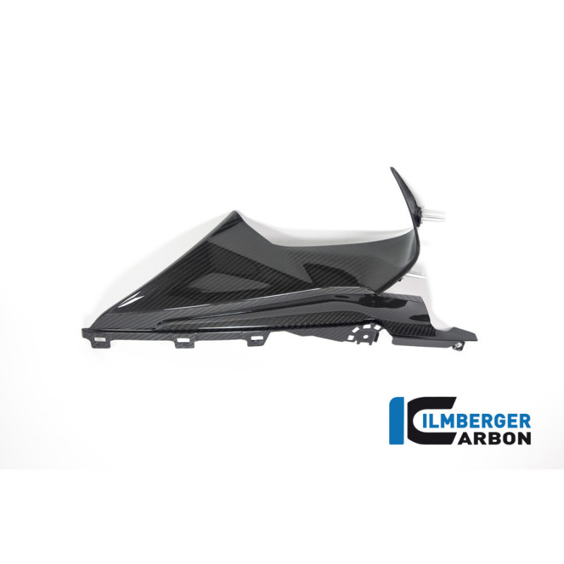 Partie supérieure de flanc de carénage droite carbone pour BMW S & M 1000 RR | Ilmberger Carbon