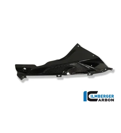 Partie supérieure de flanc de carénage droite carbone pour BMW S 1000 RR | Ilmberger Carbon