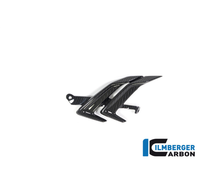 Sortie d'air droite carbone pour BMW S & M 1000 RR | Ilmberger Carbon