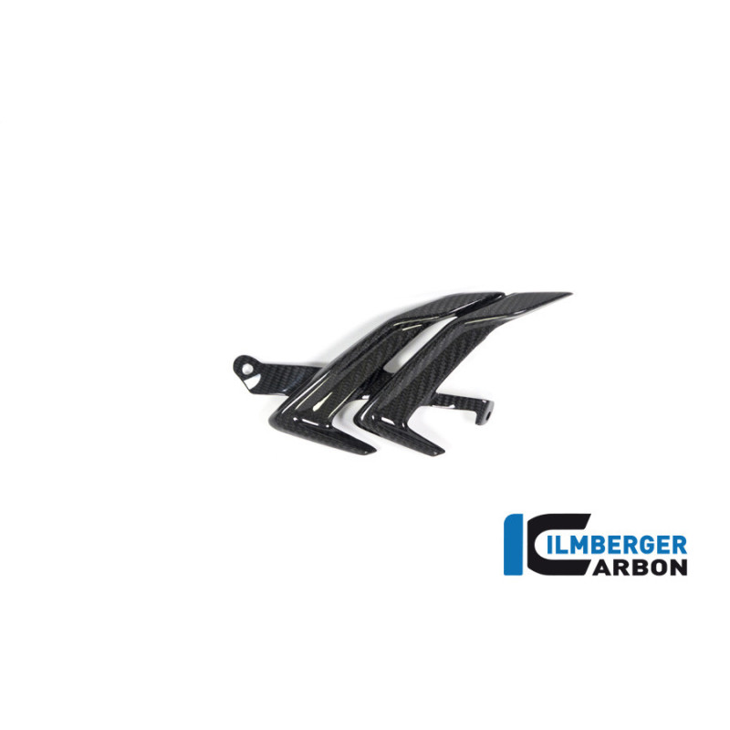 Sortie d'air droite carbone pour BMW S & M 1000 RR | Ilmberger Carbon