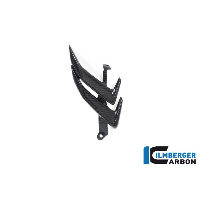 Sortie d'air droite carbone pour BMW S & M 1000 RR | Ilmberger Carbon