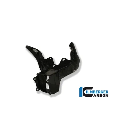Support de carénage et d'instruments circuit carbone pour BMW S 1000 RR | Ilmberger Carbon
