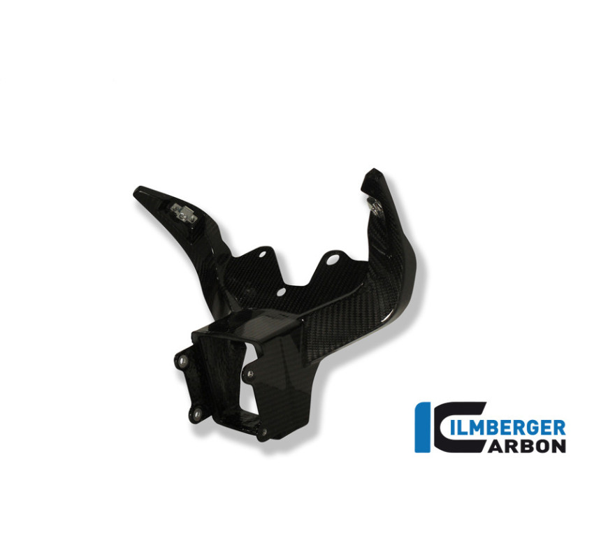 Support de carénage et d'instruments circuit carbone pour BMW S 1000 RR | Ilmberger Carbon