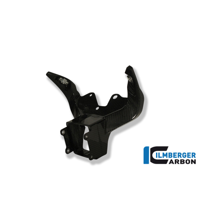 Support de carénage et d'instruments circuit carbone pour BMW S 1000 RR | Ilmberger Carbon