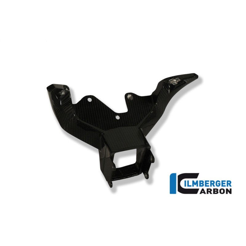Support de carénage et d'instruments circuit carbone pour BMW S 1000 RR | Ilmberger Carbon