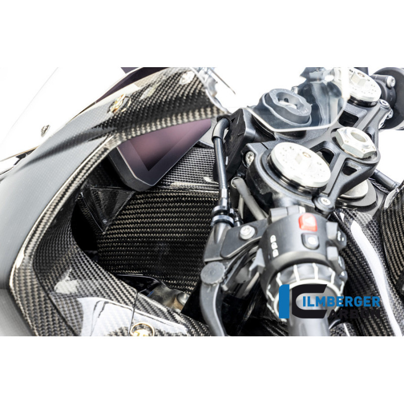 Support de carénage et d'instruments circuit carbone pour BMW S & M 1000 RR | Ilmberger Carbon