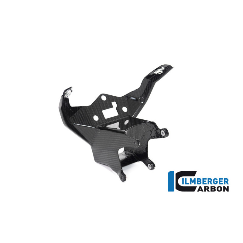 Support de carénage et d'instruments circuit carbone pour BMW S & M 1000 RR | Ilmberger Carbon