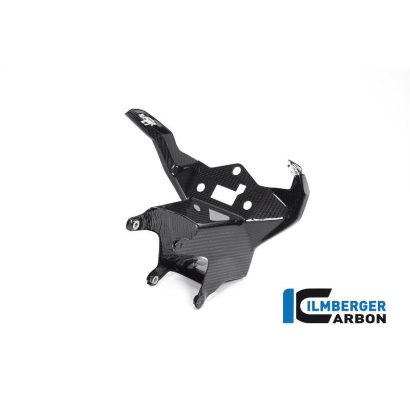 Support de carénage et d'instruments circuit carbone pour BMW S & M 1000 RR | Ilmberger Carbon