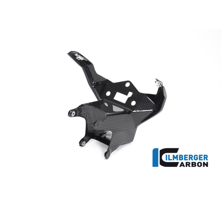 Support de carénage et d'instruments circuit carbone pour BMW S 1000 RR | Ilmberger Carbon
