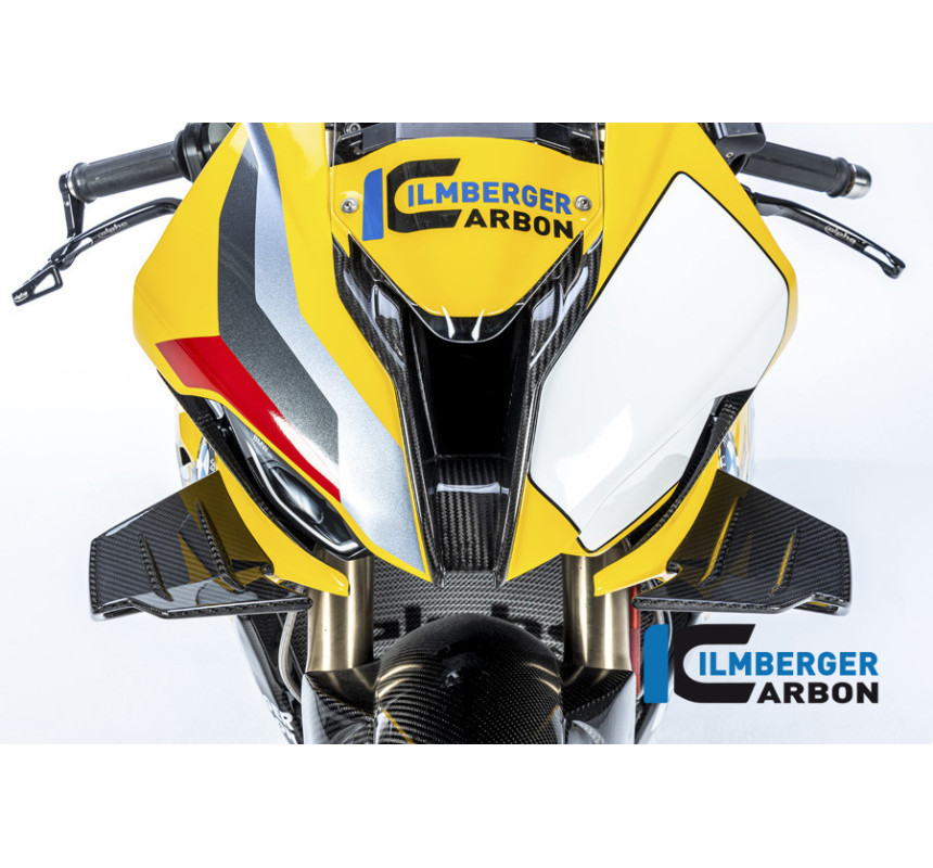 Tête de fourche circuit carbone pour BMW M 1000 RR | Ilmberger Carbon