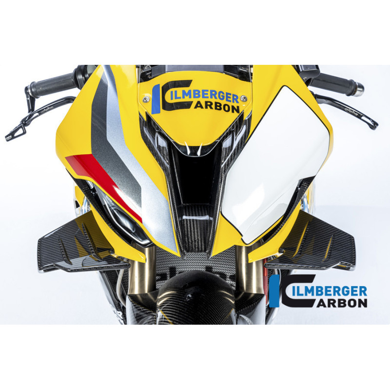 Tête de fourche circuit carbone pour BMW M 1000 RR | Ilmberger Carbon
