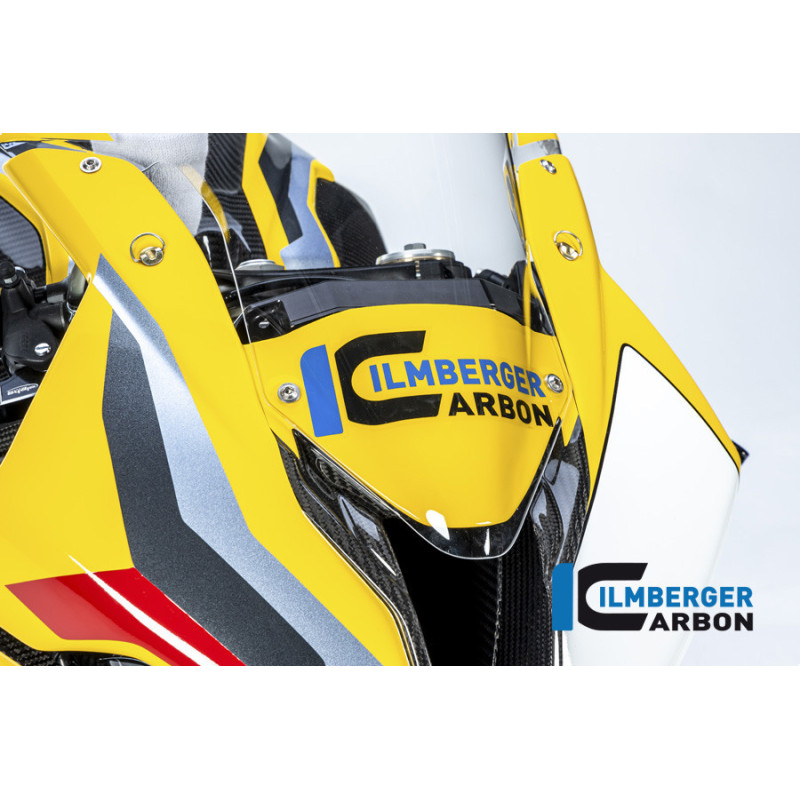 Tête de fourche circuit carbone pour BMW M 1000 RR | Ilmberger Carbon