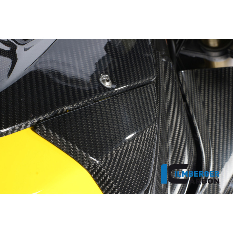 Cache latéral de réservoir gauche circuit carbone pour BMW S 1000 RR | Ilmberger Carbon