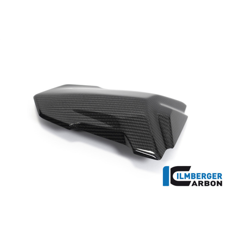 Capot de selle passager carbone pour BMW S & M 1000 RR | Ilmberger Carbon