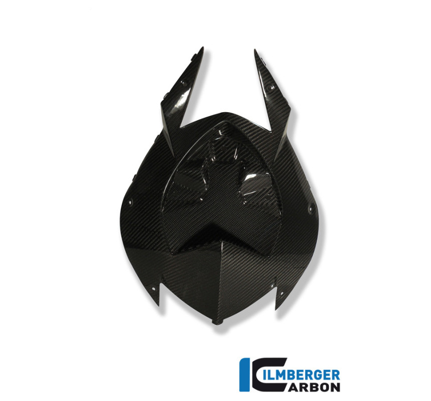 Cache inférieur de boucle arrière carbone pour BMW S 1000 RR | Ilmberger Carbon