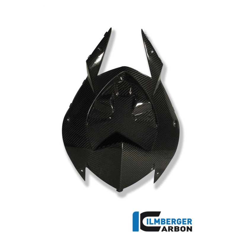 Cache inférieur de boucle arrière carbone pour BMW S 1000 RR | Ilmberger Carbon