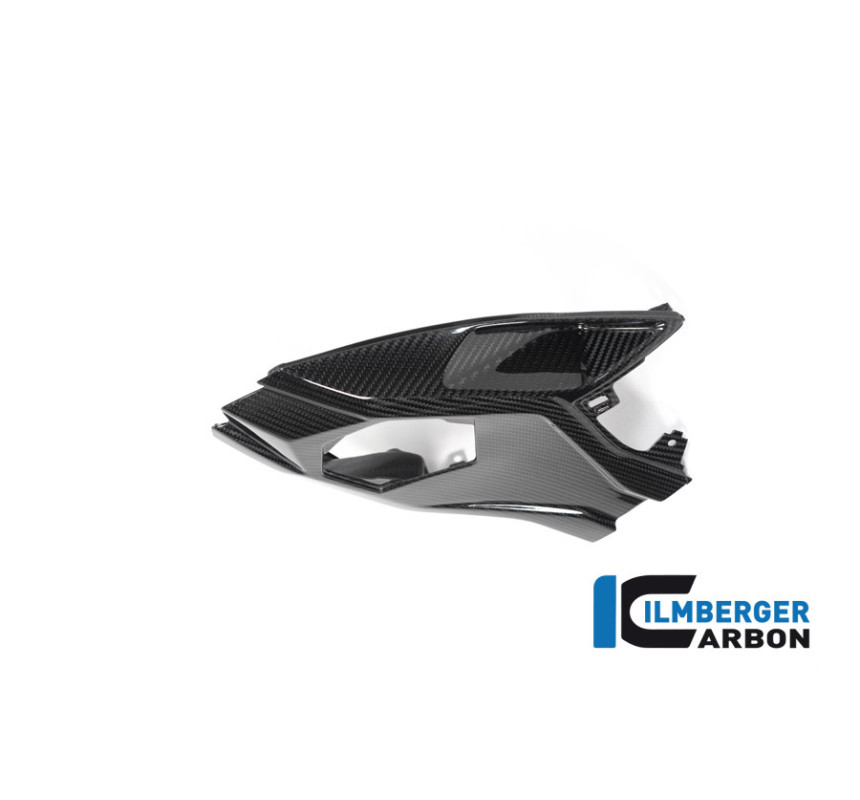 Cache inférieur de boucle arrière pour S & M 1000 RR 2019-2022