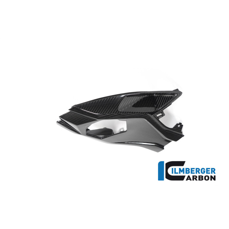 Cache inférieur de boucle arrière pour S & M 1000 RR 2019-2022