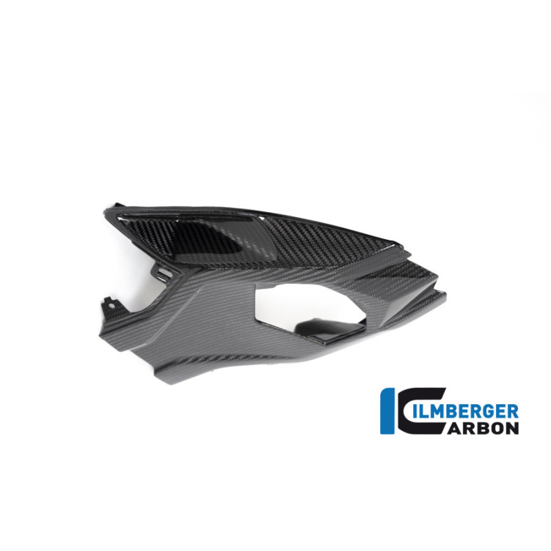 Cache inférieur de boucle arrière carbone pour BMW S & M 1000 RR | Ilmberger Carbon