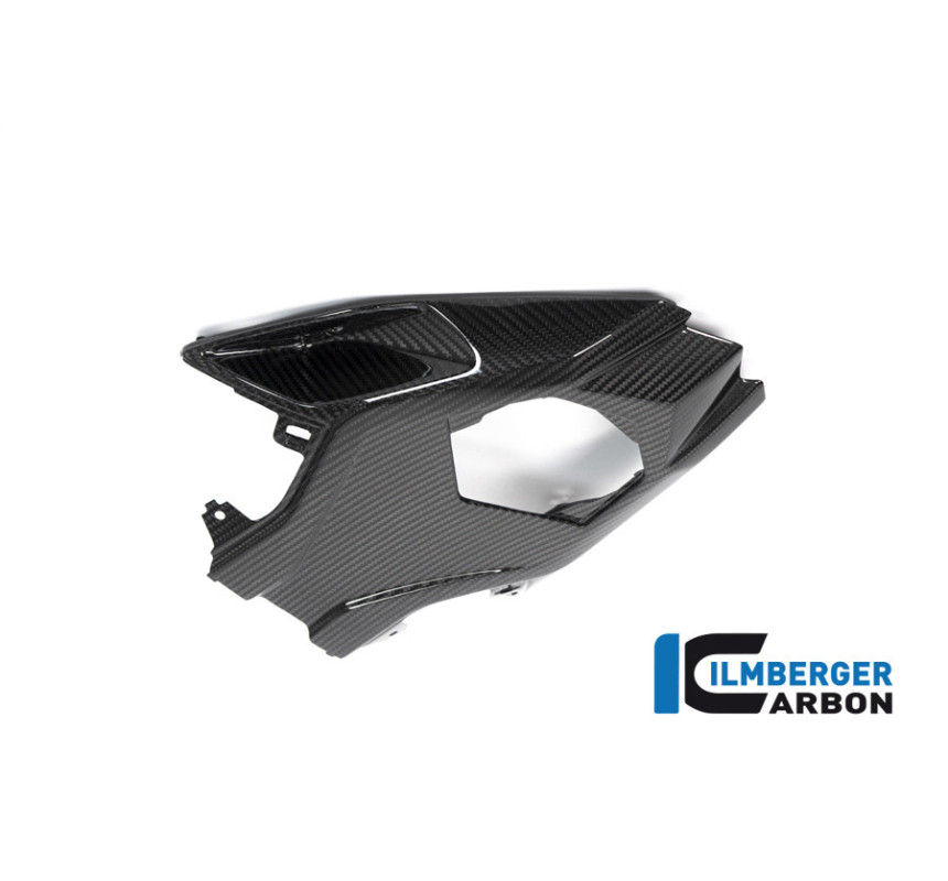 Cache inférieur de boucle arrière carbone pour BMW S & M 1000 RR | Ilmberger Carbon