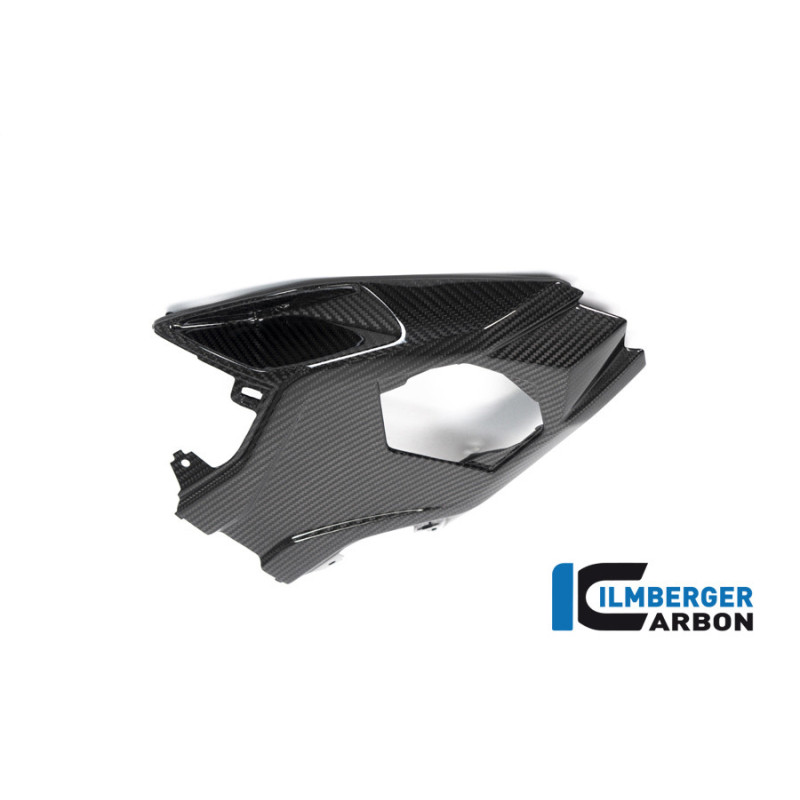 Cache inférieur de boucle arrière carbone pour BMW S & M 1000 RR | Ilmberger Carbon