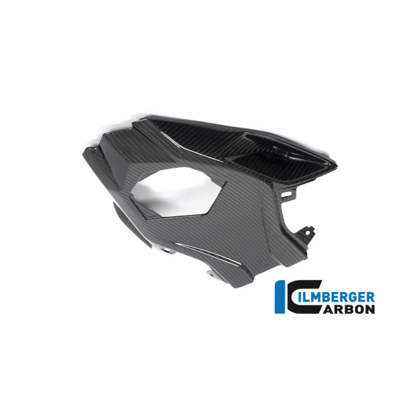 Cache inférieur de boucle arrière carbone pour BMW S & M 1000 RR | Ilmberger Carbon