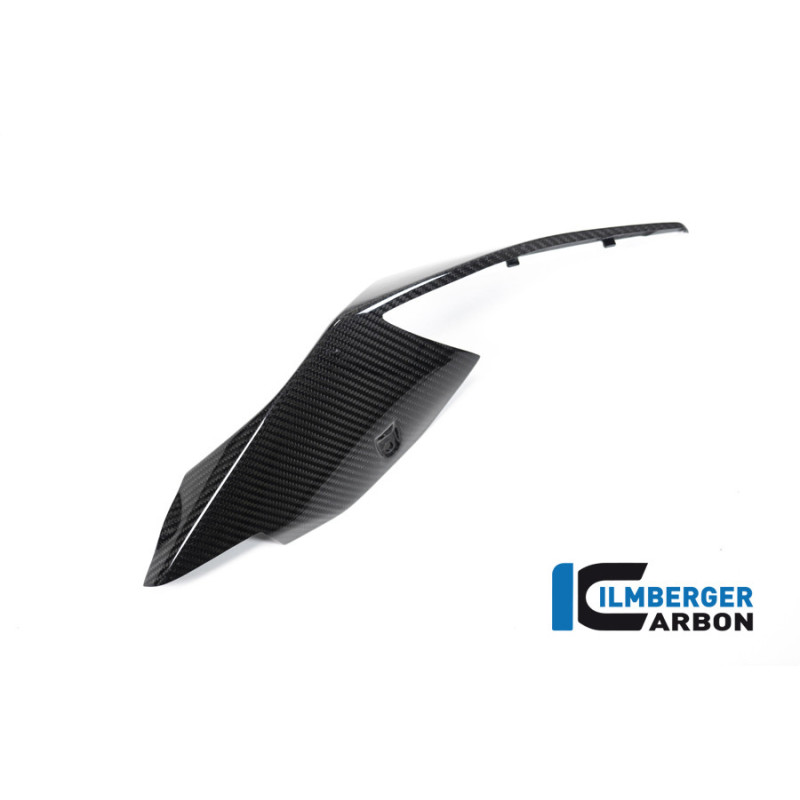 Coque arrière gauche carbone pour BMW S & M 1000 RR | Ilmberger Carbon