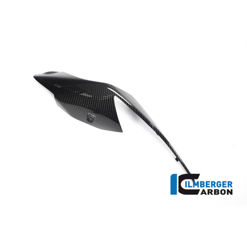 Coque arrière gauche carbone pour BMW S & M 1000 RR | Ilmberger Carbon