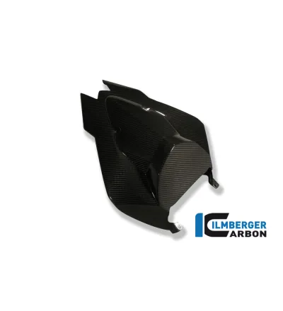 Coque arrière carbone pour BMW S 1000 RR | Ilmberger Carbon