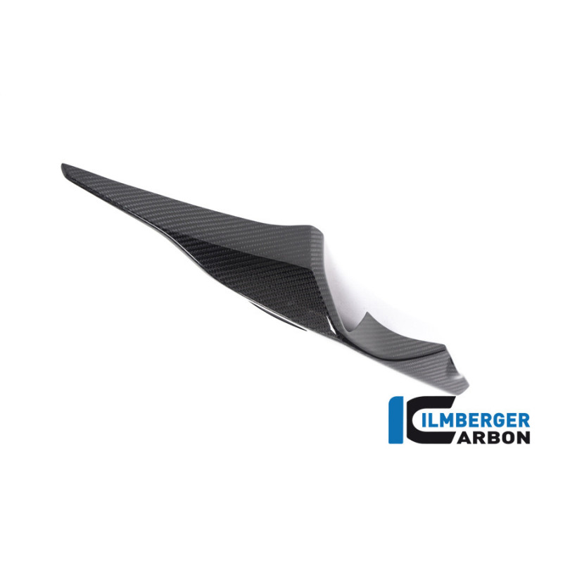 Coque arrière droite carbone pour BMW S & M 1000 RR | Ilmberger Carbon