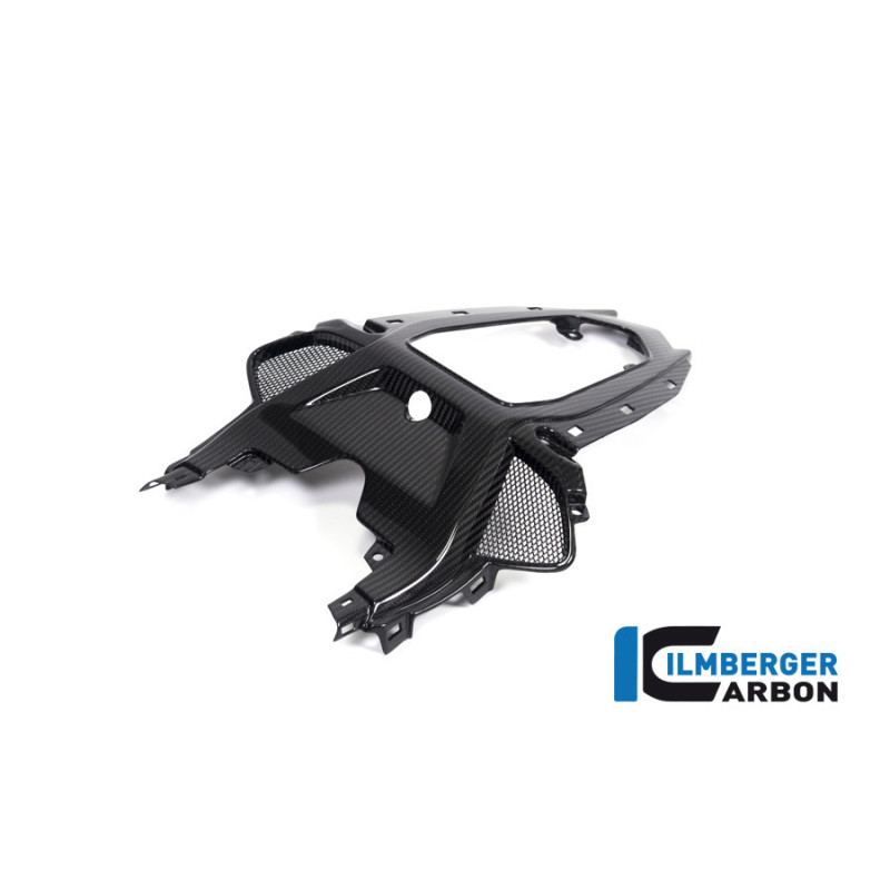 Partie centrale de coque arrière biplace carbone pour BMW S & M 1000 RR | Ilmberger Carbon
