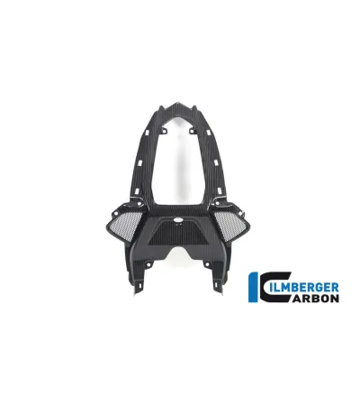 Partie centrale de coque arrière biplace carbone pour BMW S & M 1000 RR | Ilmberger Carbon