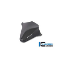 Cache de compteur carbone pour BMW S & M 1000 RR | Ilmberger Carbon