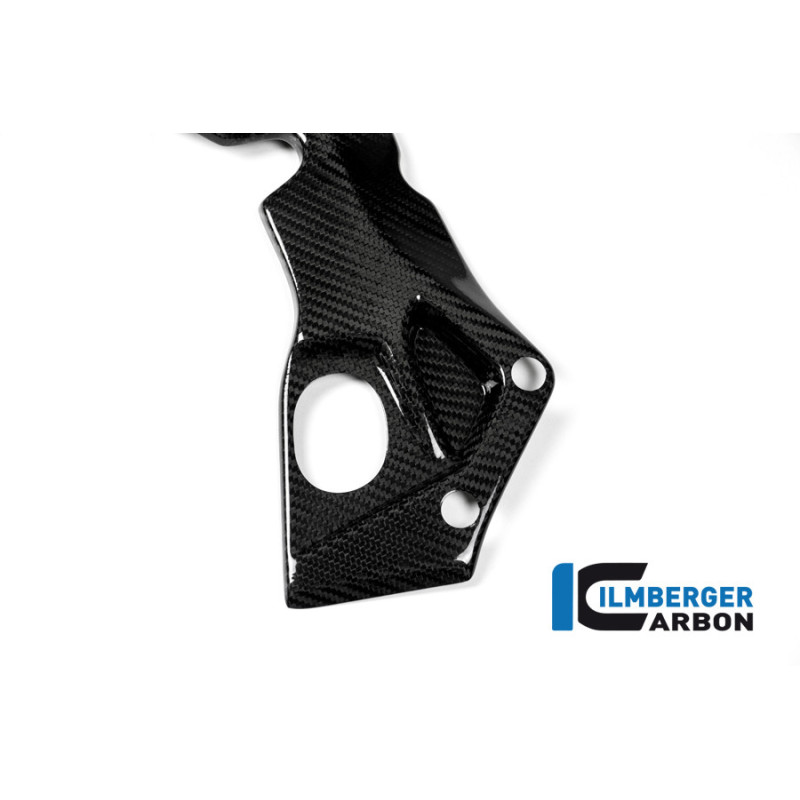 Cache de cadre gauche circuit carbone pour BMW S 1000 RR | Ilmberger Carbon