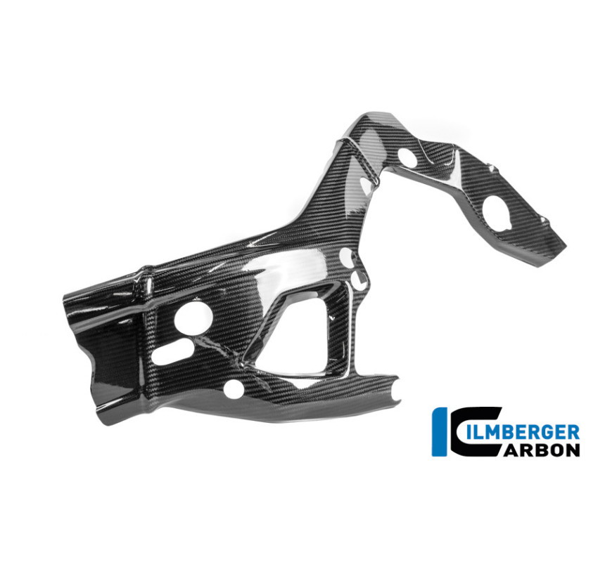 Cache de cadre gauche circuit carbone pour BMW M 1000 RR | Ilmberger Carbon
