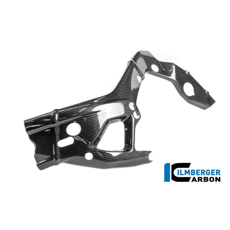 Cache de cadre gauche circuit carbone pour BMW M 1000 RR | Ilmberger Carbon