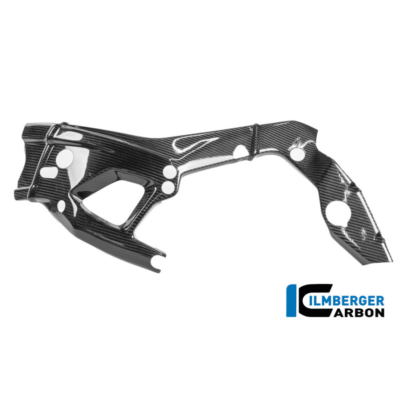 Cache de cadre gauche circuit carbone pour BMW M 1000 RR | Ilmberger Carbon