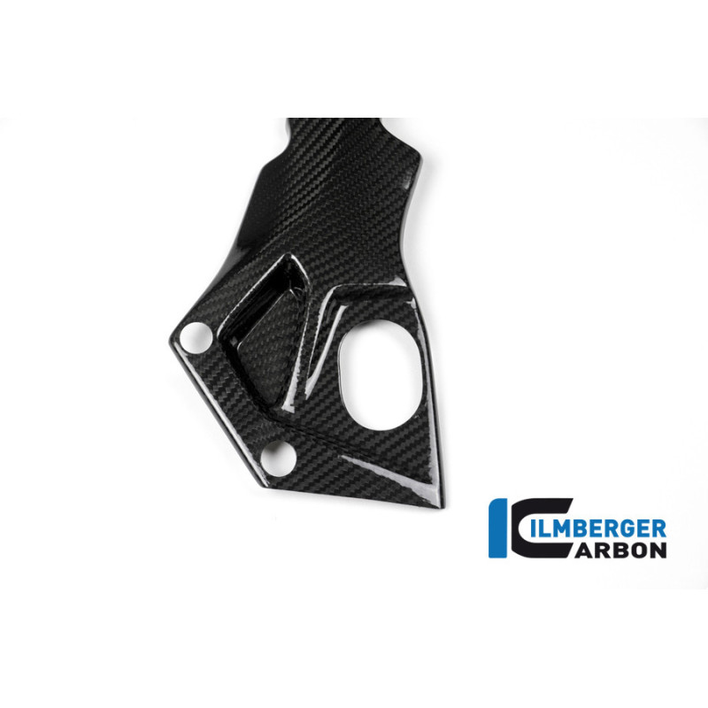 Cache de cadre droit carbone pour BMW S 1000 RR | Ilmberger Carbon