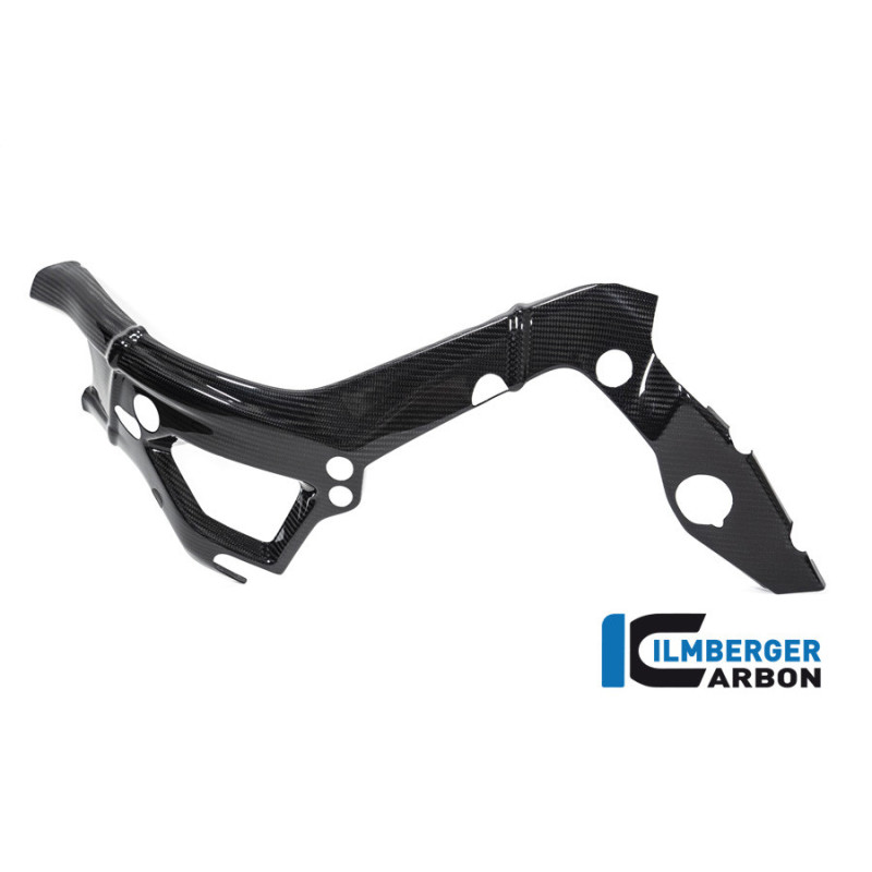 Cache de cadre grand modèle gauche carbone pour BMW S & M 1000 RR | Ilmberger Carbon