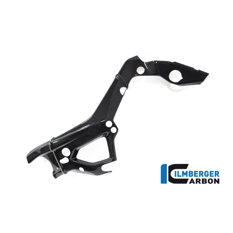 Cache de cadre grand modèle gauche carbone pour BMW S & M 1000 RR | Ilmberger Carbon
