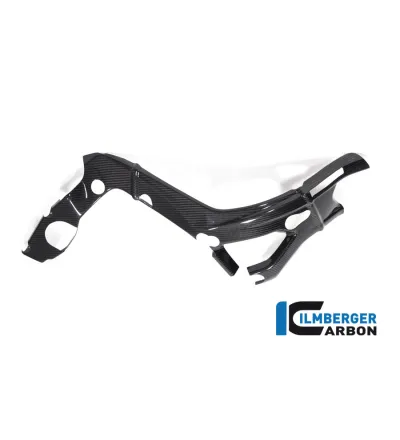 Cache de cadre grand modèle droit carbone pour BMW S & M 1000 RR | Ilmberger Carbon