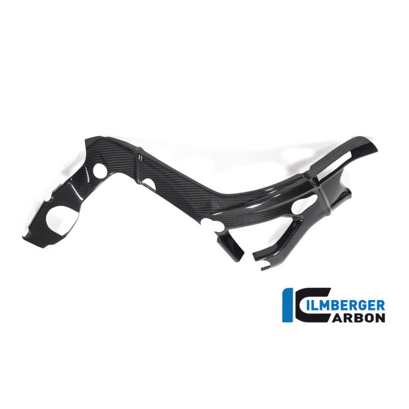 Cache de cadre grand modèle droit carbone pour BMW S & M 1000 RR | Ilmberger Carbon