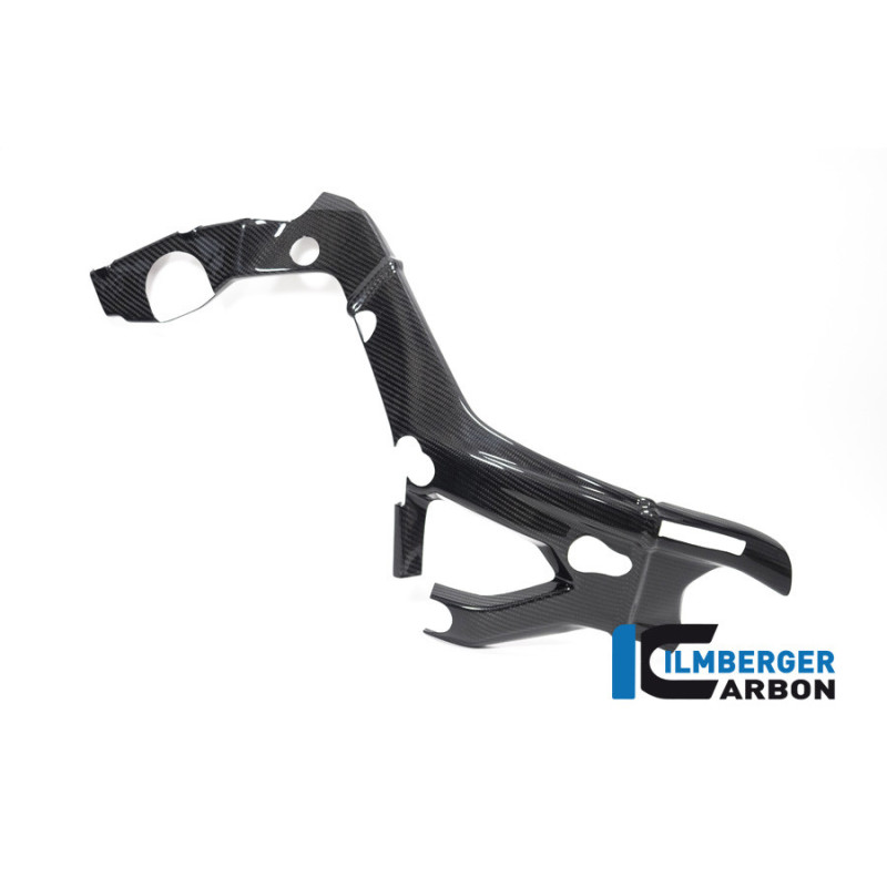 Cache de cadre grand modèle droit carbone pour BMW S & M 1000 RR | Ilmberger Carbon