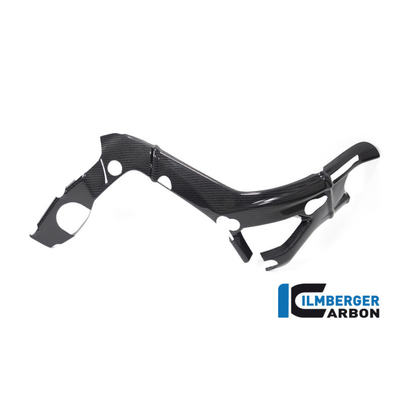 Cache de cadre grand modèle droit carbone pour BMW S & M 1000 RR | Ilmberger Carbon