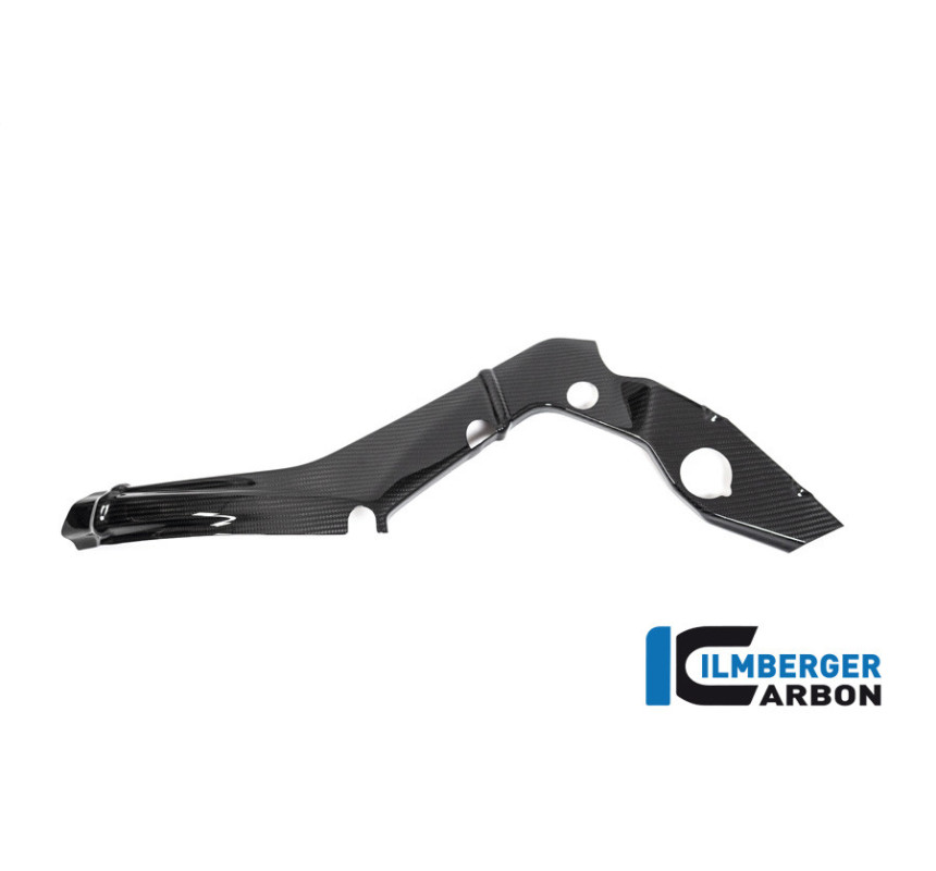 Cache de cadre petit modèle gauche carbone pour BMW S & M 1000 RR | Ilmberger Carbon