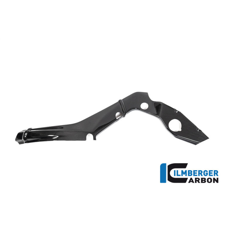 Cache de cadre petit modèle gauche carbone pour BMW S & M 1000 RR | Ilmberger Carbon