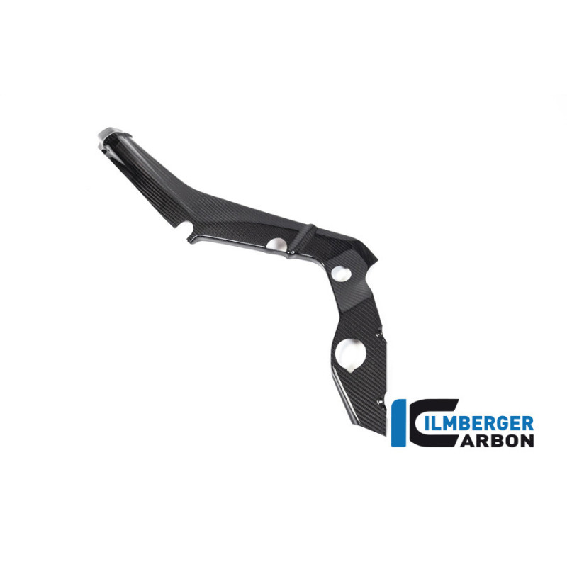 Cache de cadre petit modèle gauche carbone pour BMW S & M 1000 RR | Ilmberger Carbon