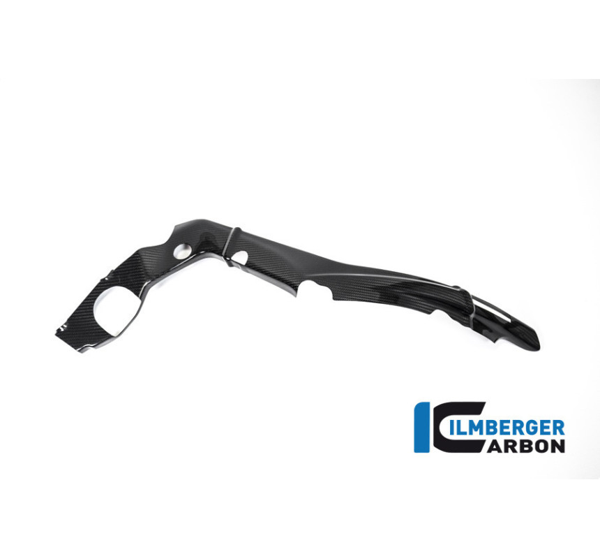 Cache de cadre petit modèle droit carbone pour BMW S & M 1000 RR | Ilmberger Carbon